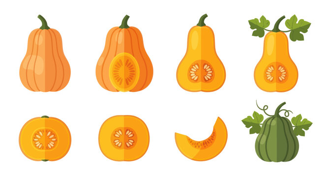 Illustrated pumpkins on white background