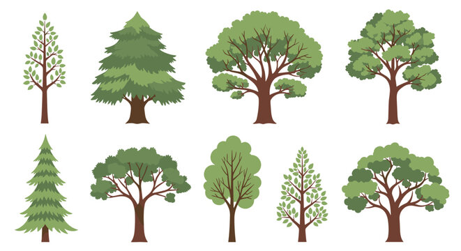 Collection of eight diverse green tree illustrations including conifers and deciduous types shown against a solid white background.