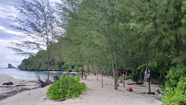 Wide angle view of a calm tropical beach on Poda Island with white sand, turquoise water, and driftwood under an overcast sky, Krabi, Thailand