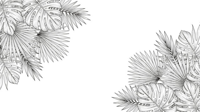 Black and white botanical border illustration featuring detailed hand drawn tropical leaves like monstera and palm on plain white background space.