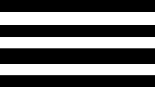 Dynamic black and white horizontal stripes motion background, abstract minimalist pattern loop