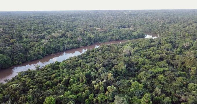 Aerial vertical ascent over Amazon rainforest revealing winding river meander near Iquitos Peru smooth drone shot 4K