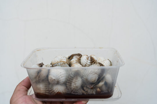 Delicious boiled or steamed cockles on box on hand