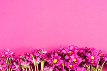 Obraz premium Pink and white flowers blooming on a wooden background in a natural garden setting