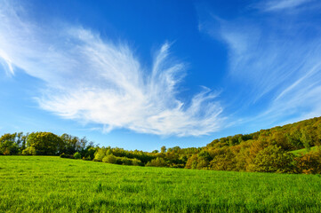 Fototapeta premium Vibrant green meadow under a vast blue sky with wispy white clouds