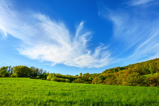Vibrant green meadow under a vast blue sky with wispy white clouds