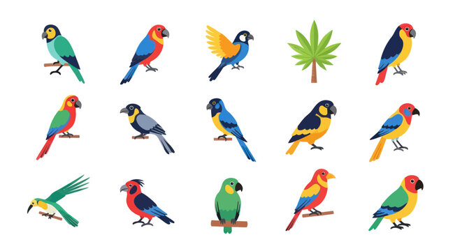 Colorful parrot collection on white background