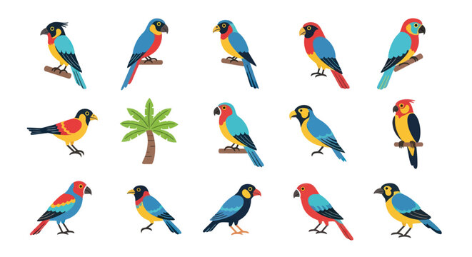 Colorful parrot collection on white