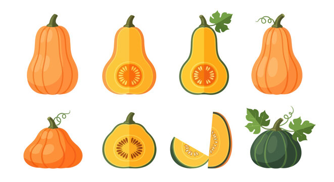 Colorful pumpkins and squash collection