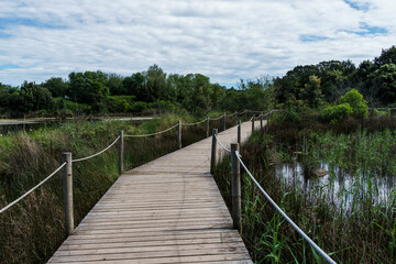Naklejka premium Wooden boardwalk and wetlands of Joyel in Cantabria, Spain, on a sunny day