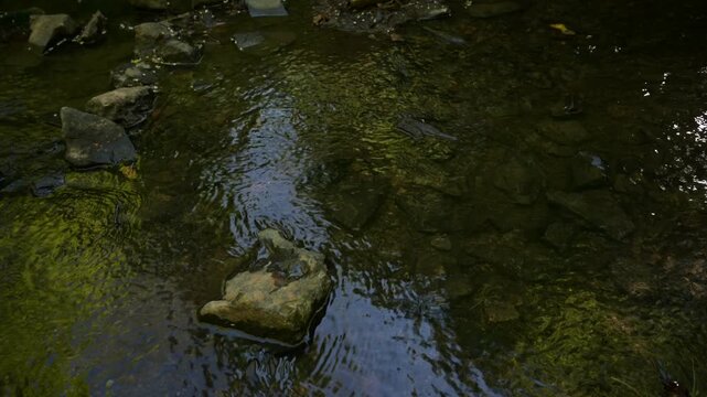 Gentle stream flows over mossy rocks and pebbles in a serene natural environment