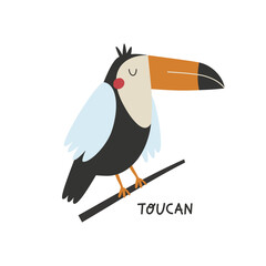 Naklejka premium Toucan cute tripical bird