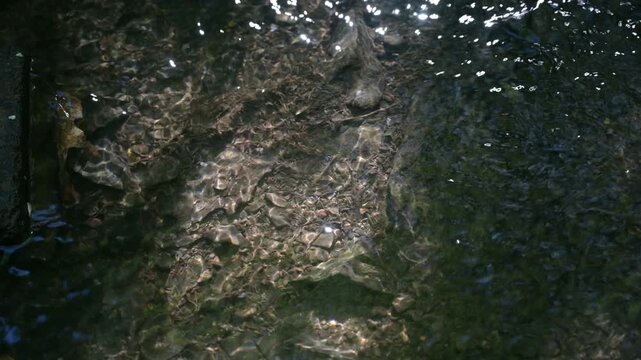 Sunlight dances on clear water flowing over a rocky stream bed