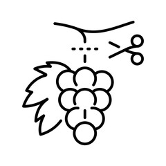 Naklejka premium Grape vine icon. Agriculture and viticulture line symbol. Black and white.