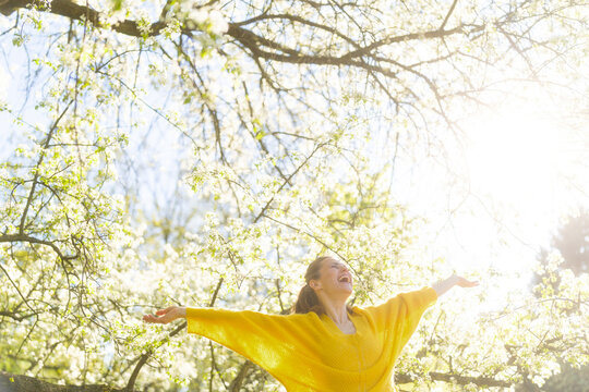 Captured from a low angle, a woman in a yellow sweater stands with arms wide open under white flowering trees, enjoying a peaceful spring day in nature.