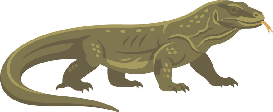 Illustration of a Komodo dragon in side view, depicting a large monitor lizard in a simple and detailed vector style.