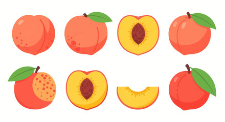Fototapeta premium Fresh peach collection illustration