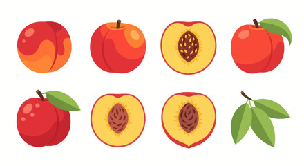 Naklejka premium Fresh peach collection illustration