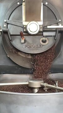 Descarregamento de gr&atilde;os de caf&eacute; rec&eacute;m-torrados em m&aacute;quina industrial Probat. Queda em cascata de caf&eacute; torrado no bra&ccedil;o de resfriamento em uma torrefa&ccedil;&atilde;o. V&iacute;deo vertical.