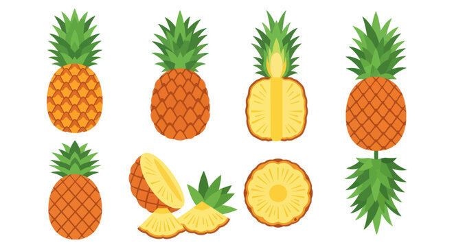 Fresh pineapple variety vector illustration