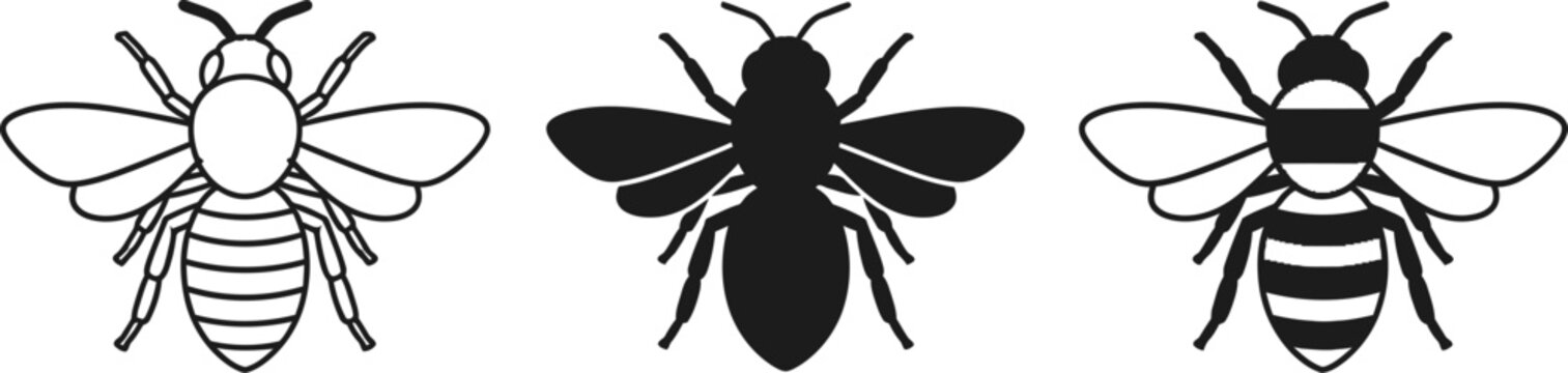 Three bee illustrations a black and white insect study
