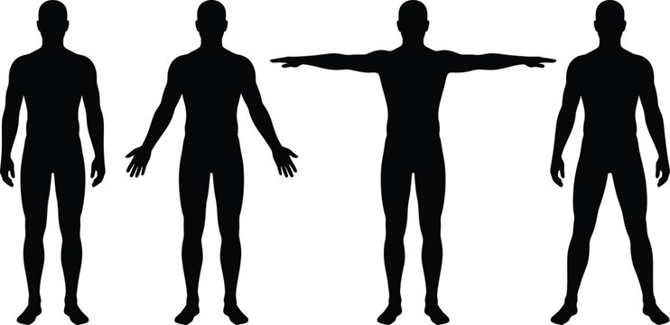 Male Body Silhouette Silhouette Set with Front View and T-Pose for Medical Anatomy