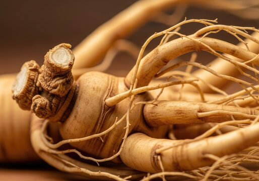 Close up of ginseng root with complex texture and detail