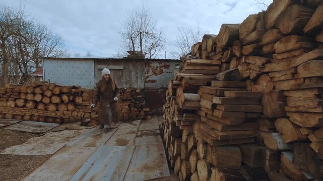 Shifting firewood, logs with firewood, a girl lays out a firebox