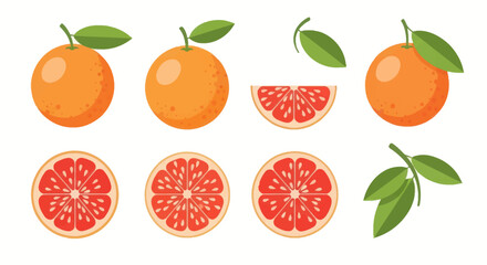 Obraz premium Orange fruit collection illustration