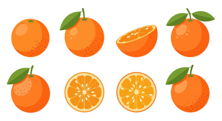 Obraz premium Orange fruit collection vector illustration
