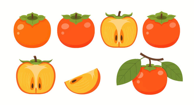Orange persimmon fruit collection illustration