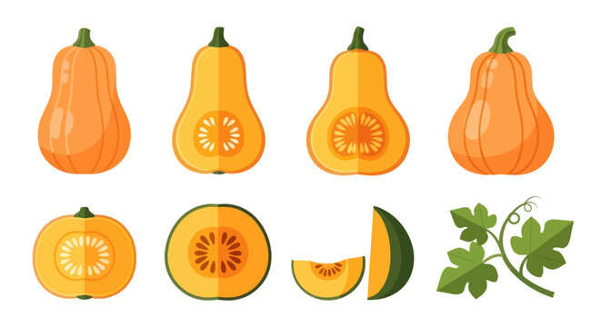 Orange pumpkins and green leaves illustration