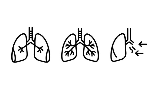 Hand drawn illustration of human lungs and respiratory system with line art internal organ human body health care medical illustration body part breathing illustration pulmonary biological