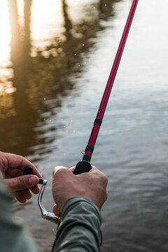 Tarde de pesca