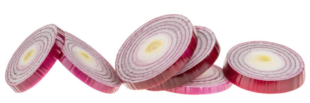 Fresh red onion slices arranged in a row isolated on a white background, for culinary ingredients