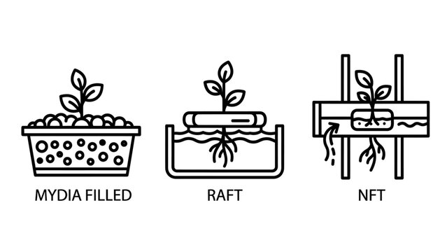Hydroponics systems icons: media filled raft nft with hydroponics gardening agriculture technology cultivation nutrient technique soilless vertical sustainable illustration vegetable