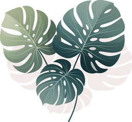 Monstera Leaf Vector Minimal Tropical Botanical Composition For Branding, Packaging, Wall Art And Modern Design © Selena.art