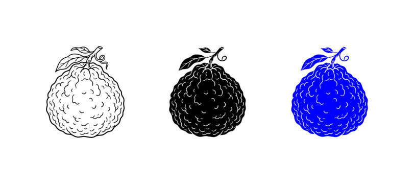 ugli fruit