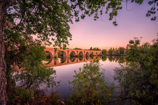 Zamora Rom&aacute;nica: El Puente de Piedra. Zamora Cityscape, Medieval. Bridge Spain. Puente de Piedra Medieval, Zamora, Espa&ntilde;a. Arquitectura Rom&aacute;nica sobre el R&iacute;o Duero.

"Reflejos de Historia"