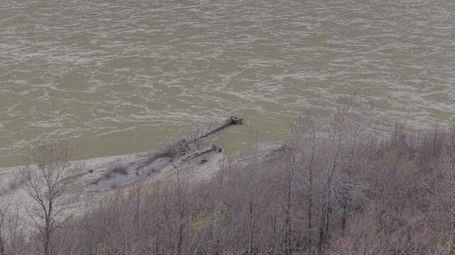 Muddy River Flowing Past Bare Trees in British Columbia, Canada During Early Spring