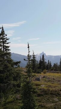 Majestic Panoramic View of Snow-Capped Canadian Rockies in British Columbia