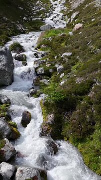 Clear Mountain Stream Cascading Over Rocks in British Columbia, Canada