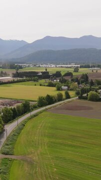 Scenic Aerial View of Lush Green and Yellow Fields in Rural British Columbia, Canada
