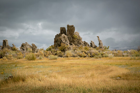 Tufa formations and golden grass at Mono Lake under cloudy sky