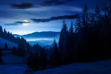cold fog in the mountain valley at night. nature phenomenon over mysterious mountain landscape with coniferous forest. full moon over trees in misty nature background for halloween. view from a hill © Pellinni