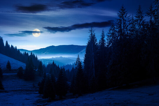 cold fog in the mountain valley at night. nature phenomenon over mysterious mountain landscape with coniferous forest. full moon over trees in misty nature background for halloween. view from a hill