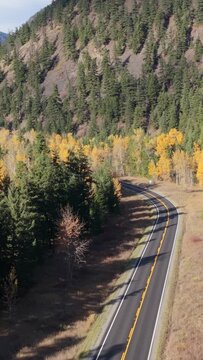 Aerial View Of A Scenic Winding Road Through Autumn Forest In British Columbia, Canada