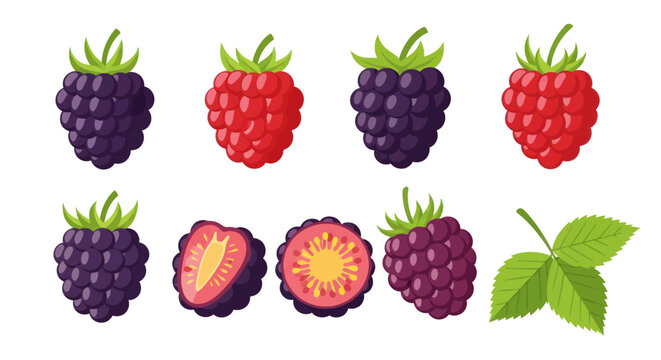 Vibrant berries illustration