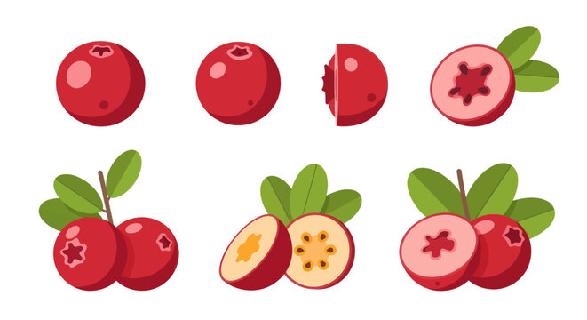 Vibrant cranberries in various stages of cut