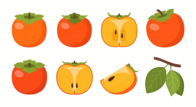 Vibrant persimmon fruit illustration